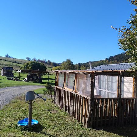 Altana Caloroczna Vira Numer 7 Herbergerowka Agroturystyka Na Wsi Duszniki Zdrój Eksteriør billede