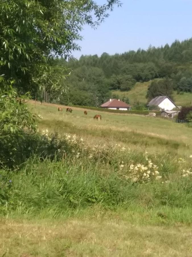 Altana Caloroczna Vira Numer 7 Herbergerowka Agroturystyka Na Wsi Duszniki Zdrój Eksteriør billede