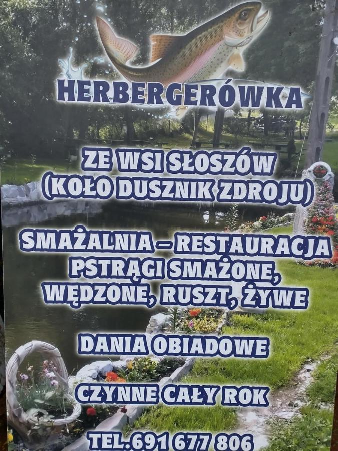 Altana Caloroczna Vira Numer 7 Herbergerowka Agroturystyka Na Wsi Duszniki Zdrój Eksteriør billede